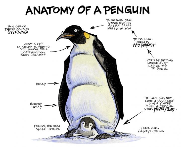anatomy-of-a-penguin