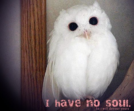 I have no soul...