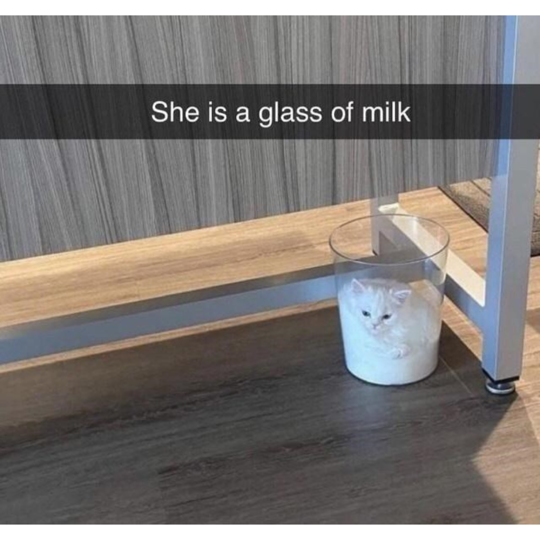 a tall glass of milk