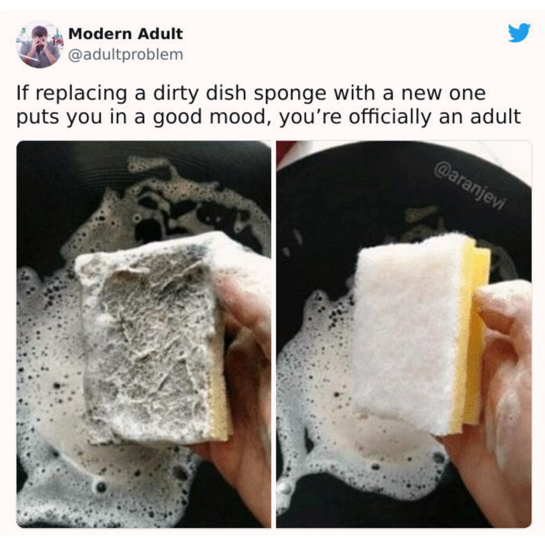 that new sponge feeling