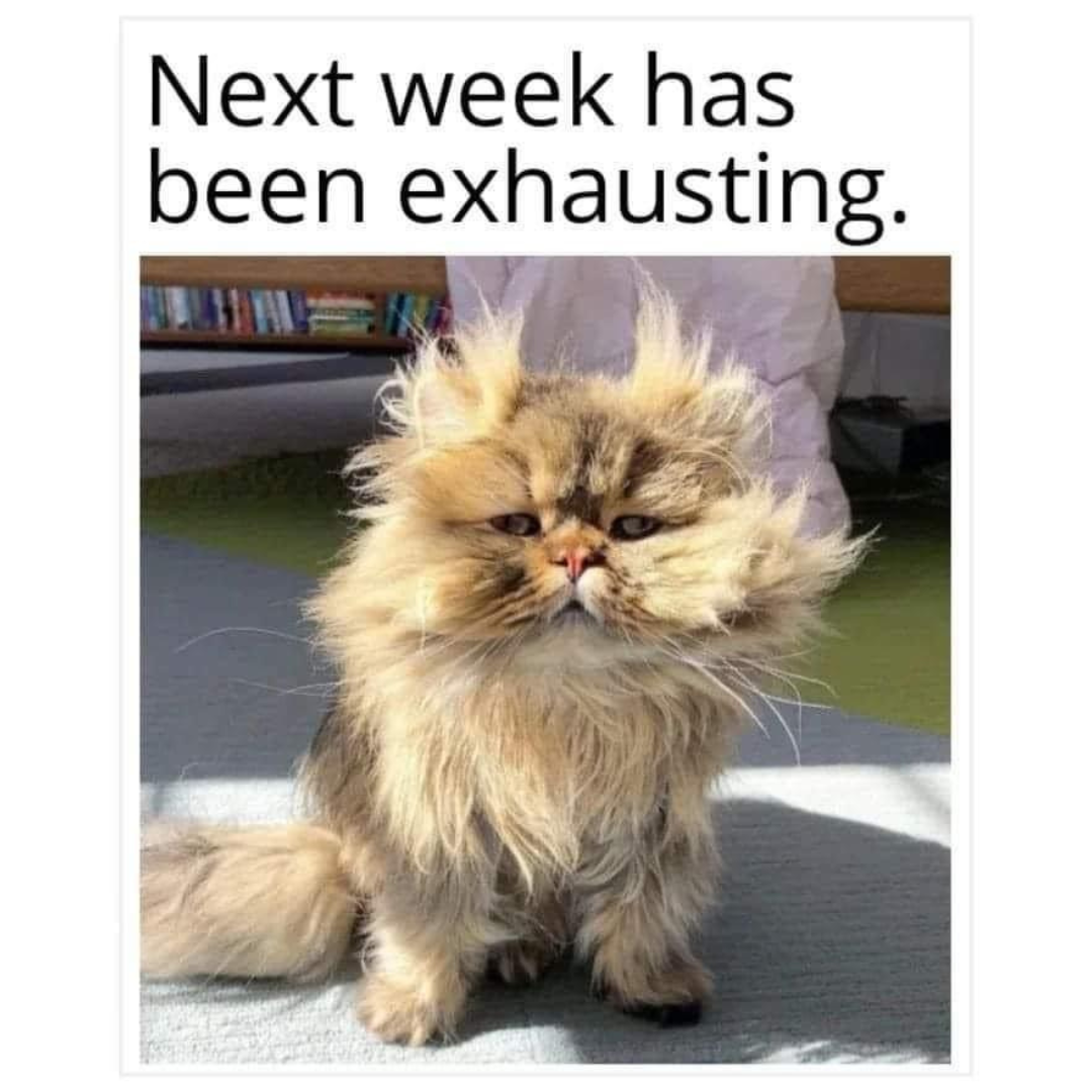 not-looking-forward-to-the-week-after-next-either