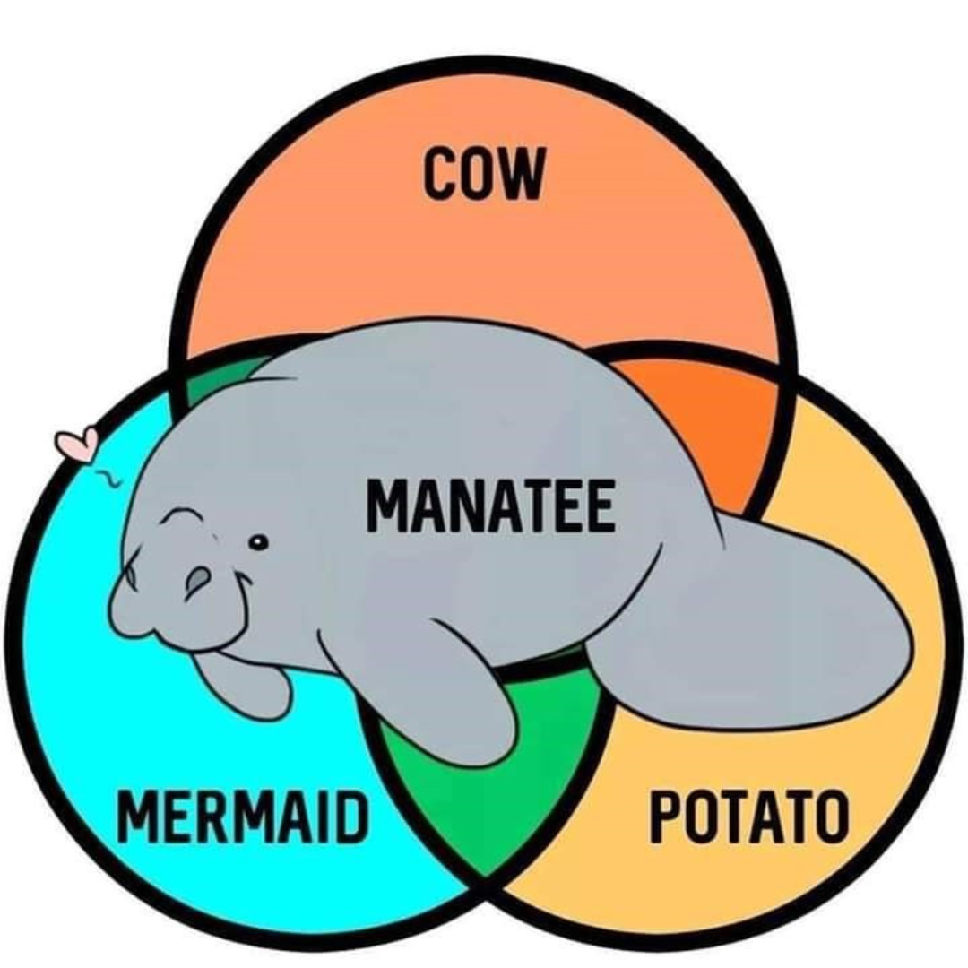 venn-diagram-memes-that-prove-just-how-pointless-venn-diagrams-really-are