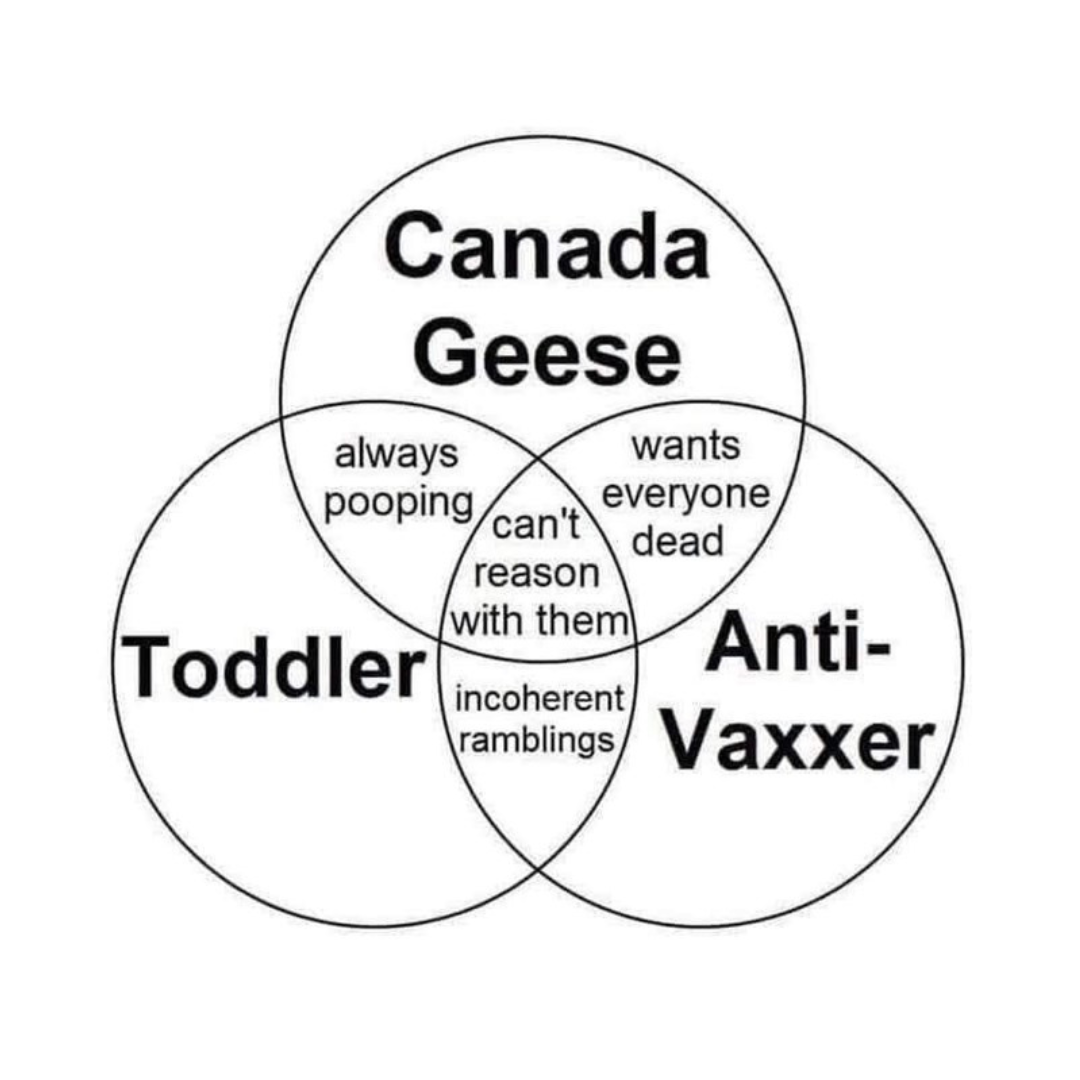 Venn diagram memes that prove just how pointless venn diagrams really are