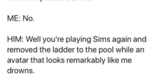 that%26%238217%3Bs+how+you+play+the+sims