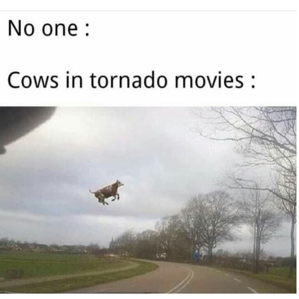 That's the same cow! A Twister sequel is storming in so let's get ...