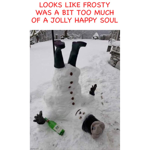 Have A Happy Birthday With These Frosty The Snowman Memes 6437