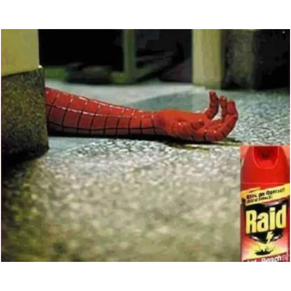 got a spider-man problem? try raid!