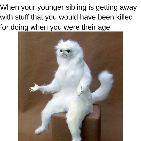 10 Memes that Sum Up the Sibling Life