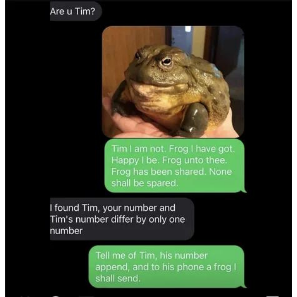 10 Frog Memes Youll Find Ribbiting