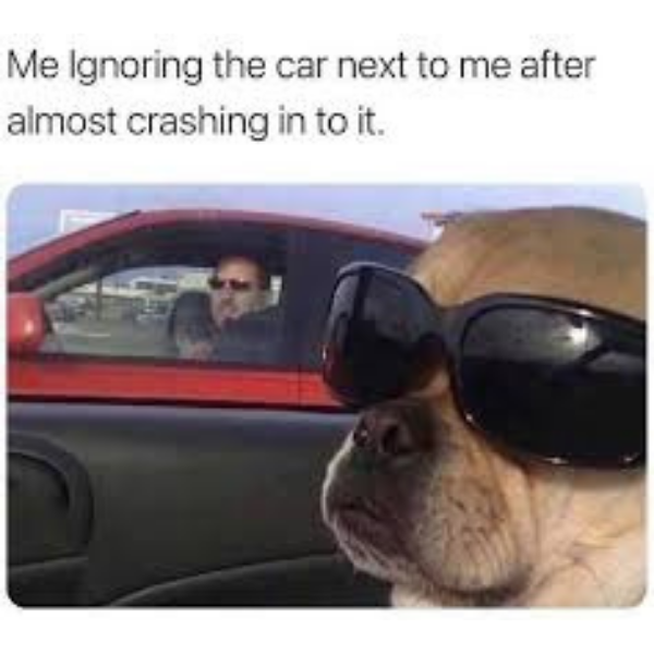 10 Driving Memes you can Relate to