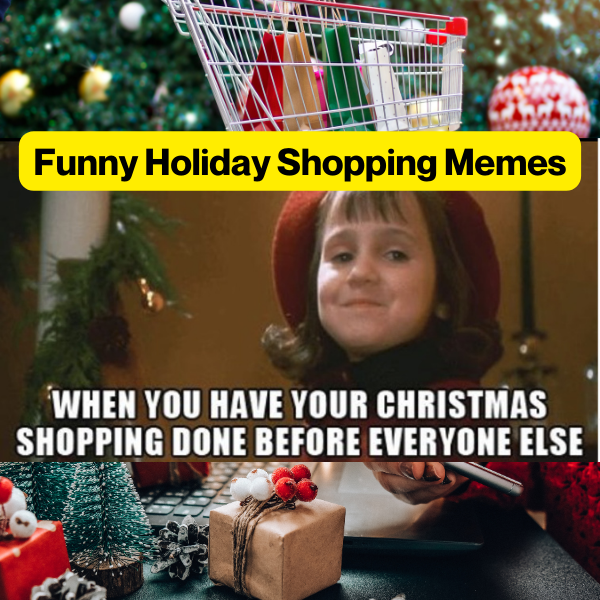 10 Funny Shopping Memes For The Holiday Around The Corner 