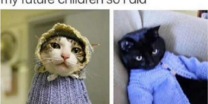 10 Funny Knitting & Crochet Memes to Stitch Together
