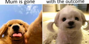 Weekly Dose of Wholesome Memes to Inspire You (May 25)