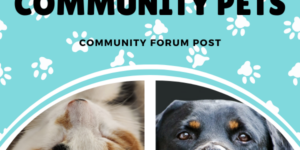 Community+Forum+Post%3A+Community+Pets%21+%28Aug+29%2C+2024%29